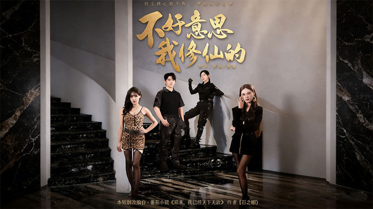 不好意思我修仙的