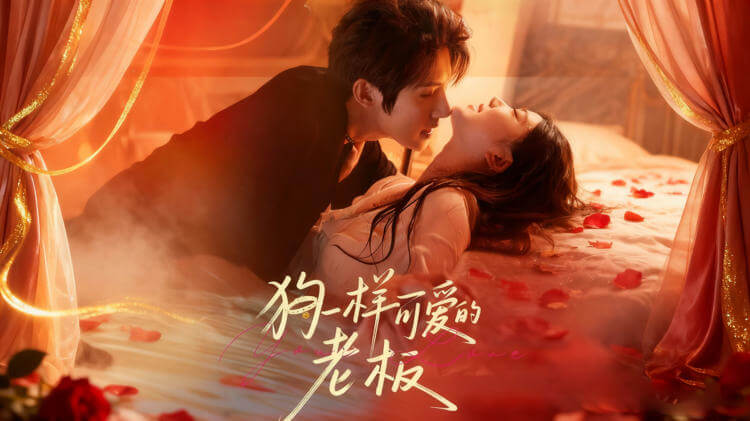 狗一樣可愛的老板