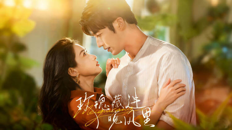 玫瑰藏進晚風里