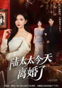 陸太太今天離婚了