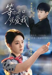 等你開口說愛我