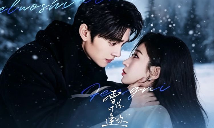 雪落時逢你