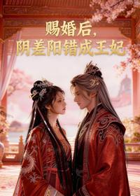 賜婚後，陰差陽錯成王妃
